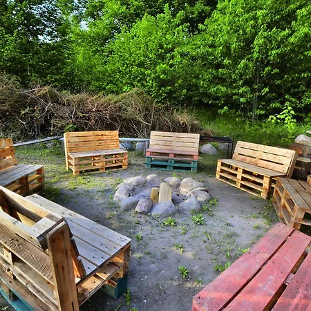 In Swiecianowo Near Baltic Sea * Paproty