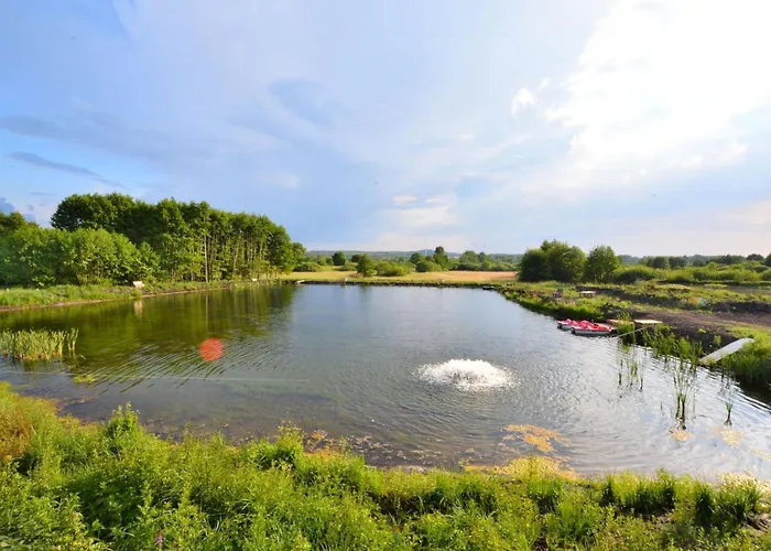 In Swiecianowo Near Baltic Sea Paproty