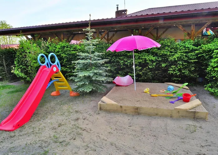 In Swiecianowo Near Baltic Sea * Paproty